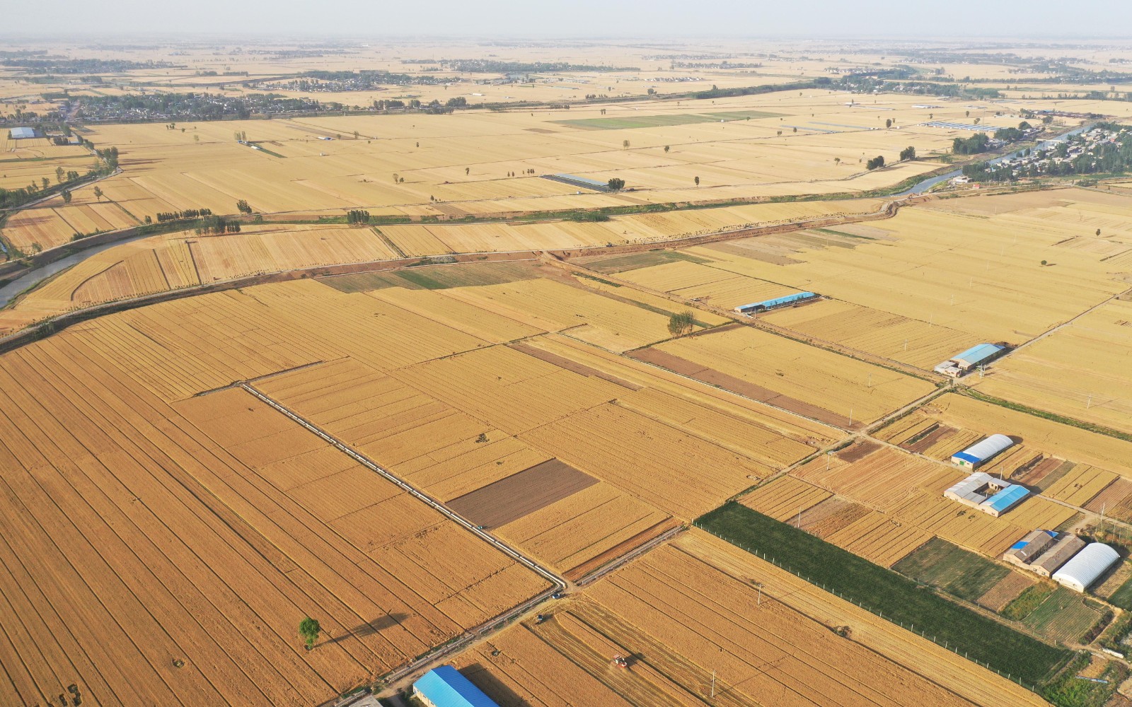 ShowImage (60).jpeg ShowImage (60).jpeg