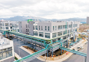 62221655921934313 62221655921934313