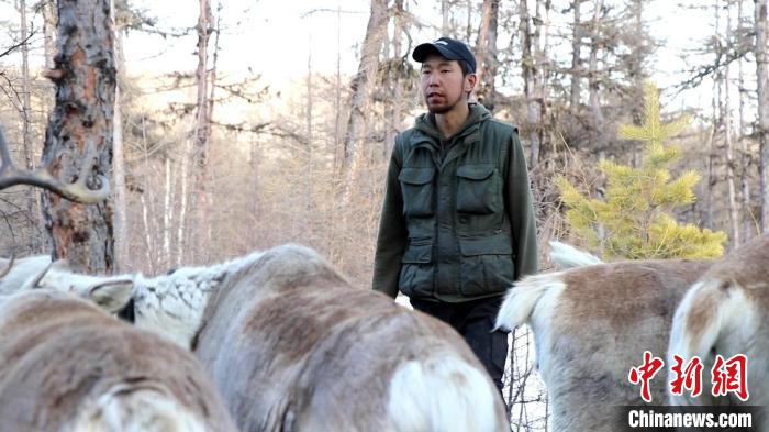 圖為古木森和馴鹿在一起?！」拍旧﹫D