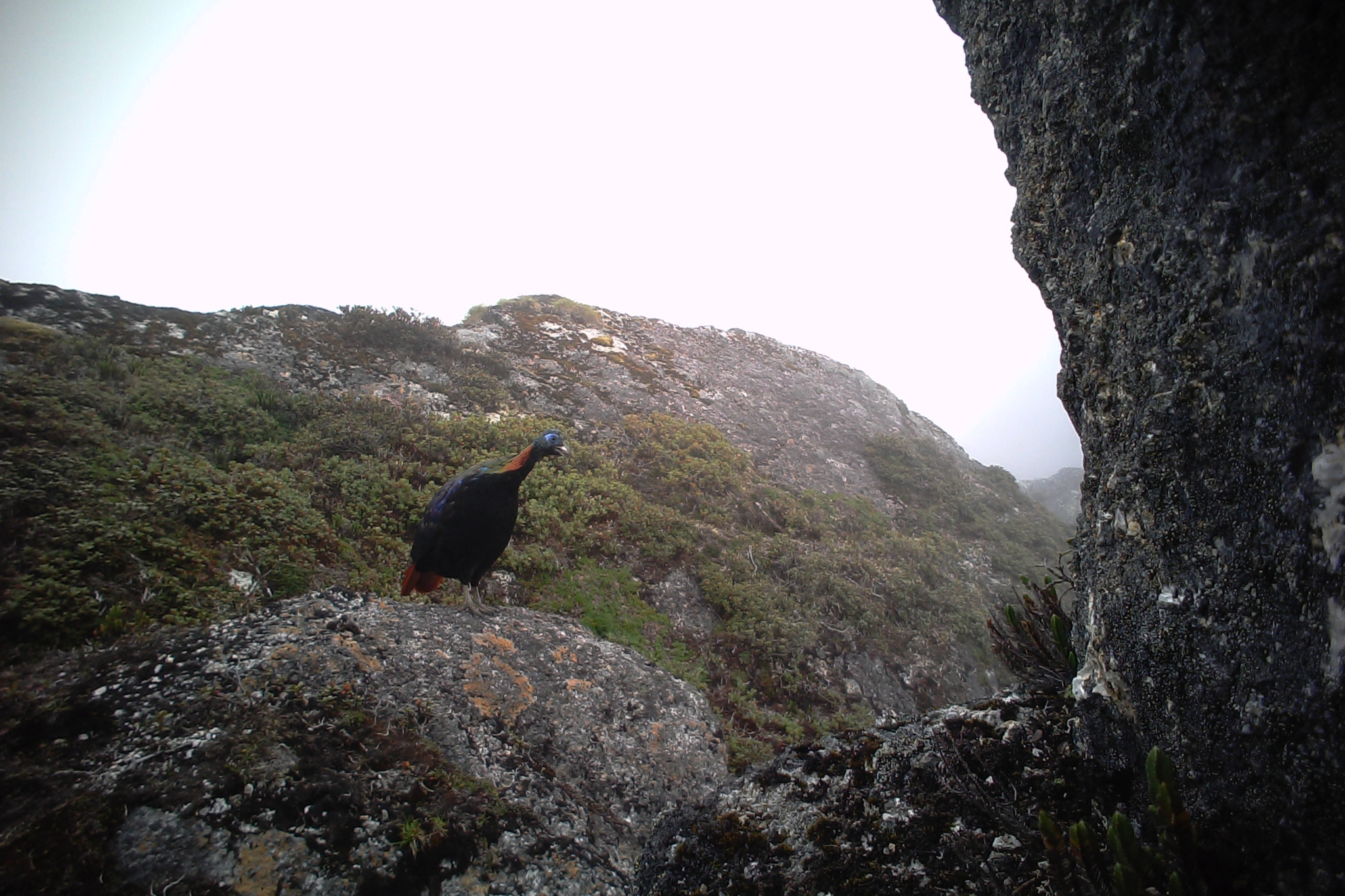 code_ynrb0a6eb166-6ce9-4019-965b-7ea5b2a24042