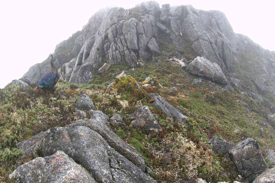 code_ynrb2bd41dd0-ad06-4d5b-943a-bccbc2c95e03