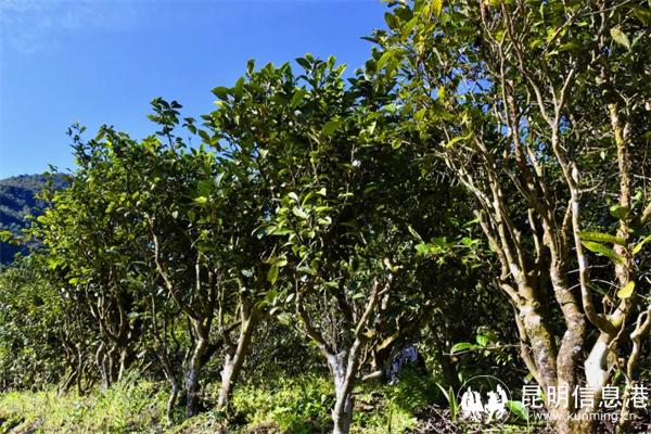 微信圖片_20220608145229 微信圖片_20220608145229