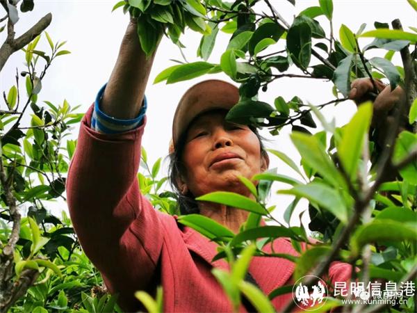 微信圖片_20220608145257 微信圖片_20220608145257