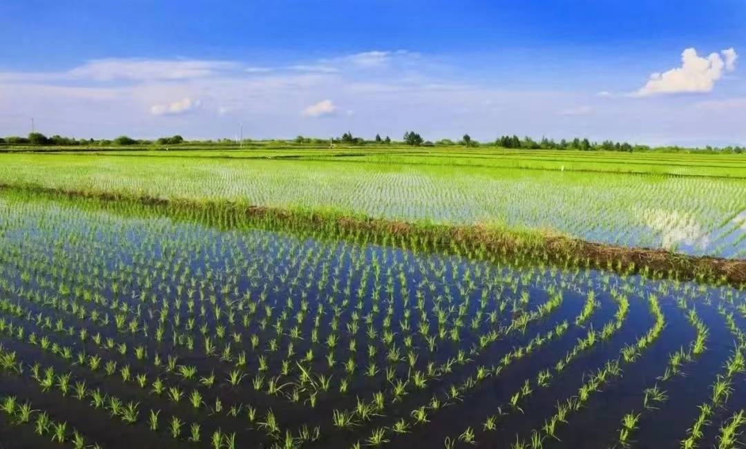 S1rzeB7FjqBieIlQLBdDHTgkVINVtmyCBJOgNbOHGekWNI1DAiqqAJVLOwlEK6TLcIHUHVqKC9sgcSSQjtmvNSDHPvECOOWPDsbUWOVrnXJAz8zkd1Up8Q== S1rzeB7FjqBieIlQLBdDHTgkVINVtmyCBJOgNbOHGekWNI1DAiqqAJVLOwlEK6TLcIHUHVqKC9sgcSSQjtmvNSDHPvECOOWPDsbUWOVrnXJAz8zkd1Up8Q==