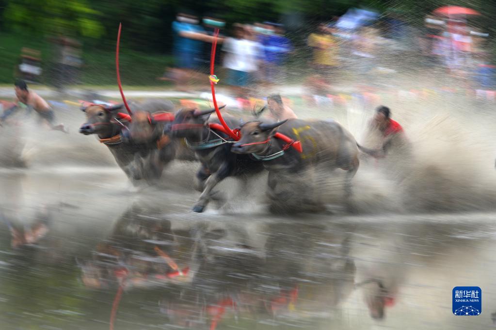 1128781423_16563312008711n