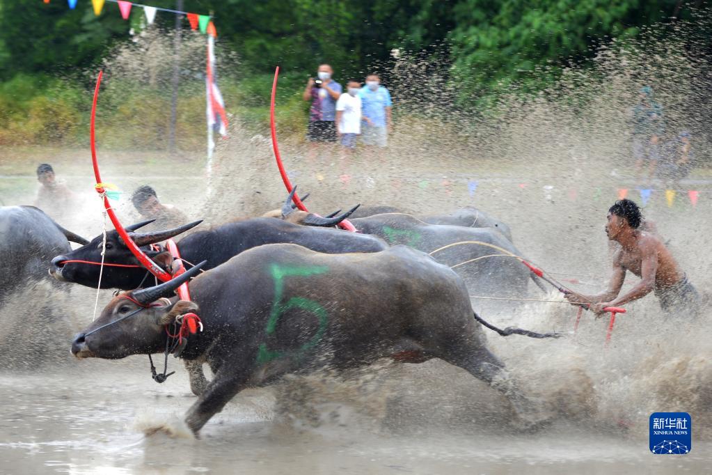 1128781423_16563312008351n