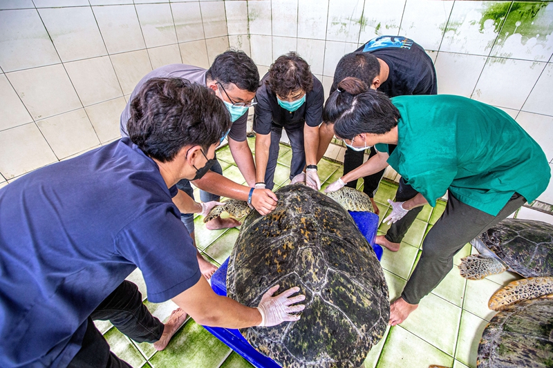 1211659978_16559706749531n 1211659978_16559706749531n