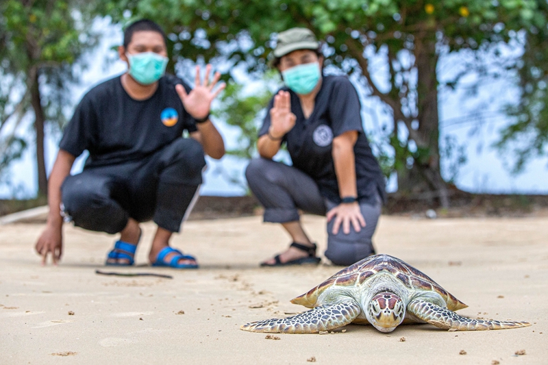 1211659978_16559707268851n 1211659978_16559707268851n