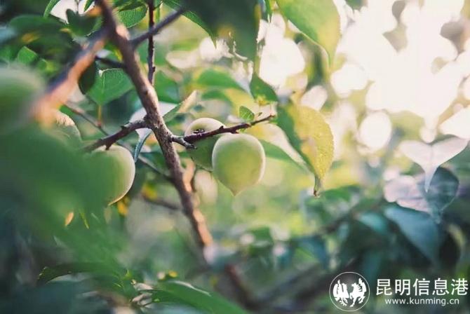 微信圖片_20220628101701