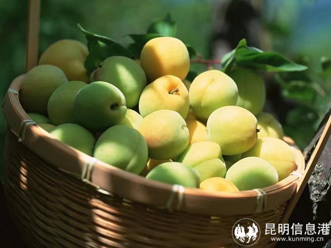 微信圖片_20220628101656