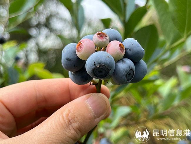 微信圖片_20220630093432 微信圖片_20220630093432