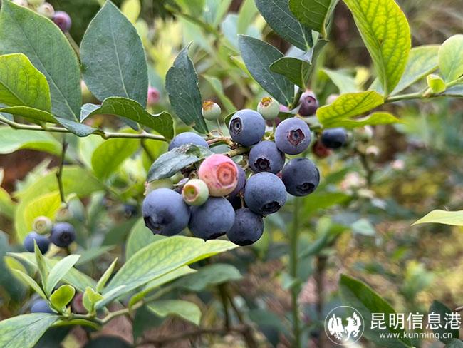 微信圖片_20220630093154 微信圖片_20220630093154