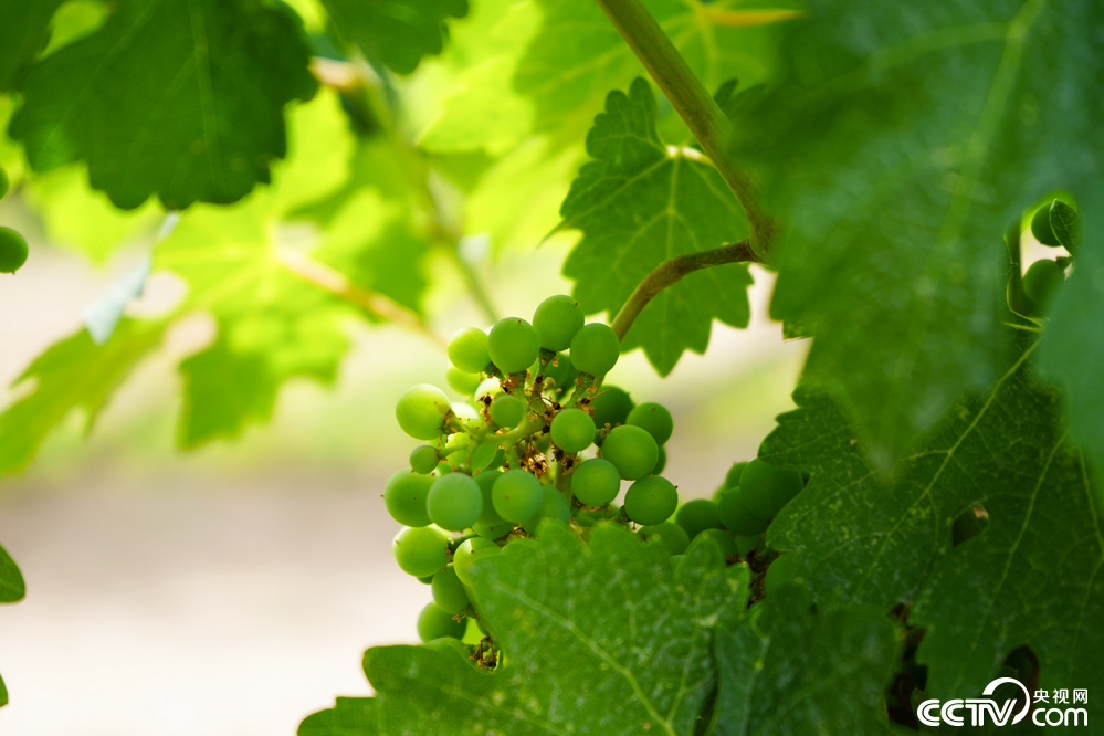 PHOTMoXUc1pxymLajxK5eO2l220629_1000x2000