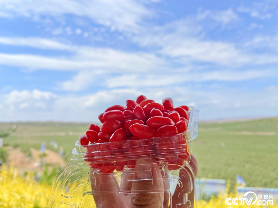 PHOTdJCmTmNIk0PNk3s70Juo220629_1000x2000