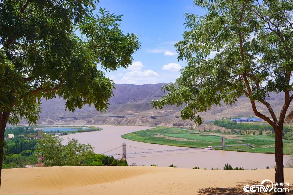 PHOT2PV6fGlxVmF0i4iBuQ7C220629_1000x2000