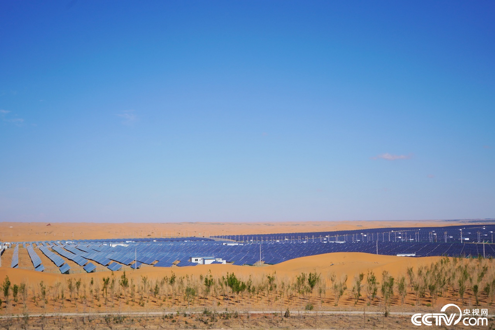 PHOTbRIRgORhqCo28IsXaAwX220629_1000x2000