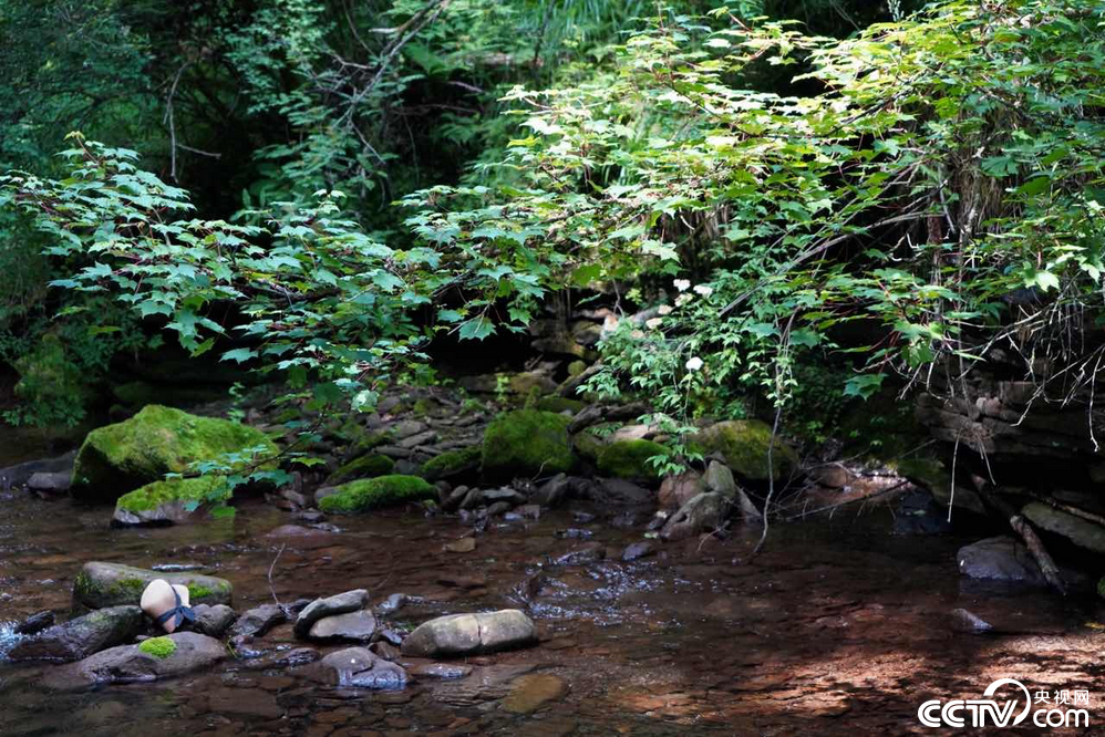 PHOTdjgdYjRGEDUBy3E9qf8S220629_1000x2000