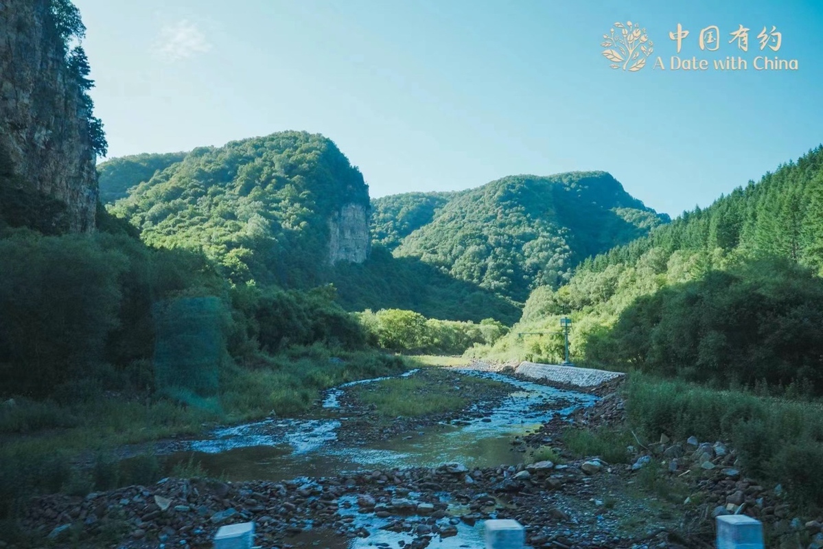 62bc1fcda3101c3e686ed386