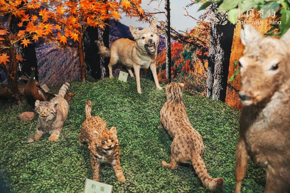 62bc1fcda3101c3e686ed389