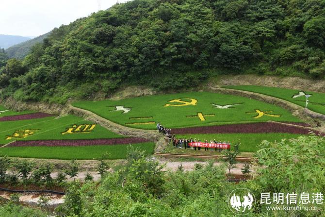 微信圖片_20220630141621 微信圖片_20220630141621