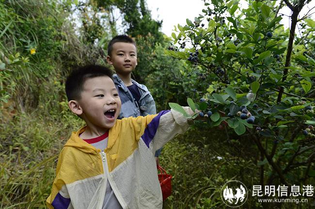 微信圖片_20220630200129 微信圖片_20220630200129