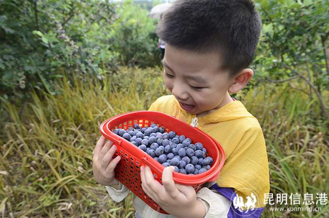 微信圖片_20220630200125 微信圖片_20220630200125