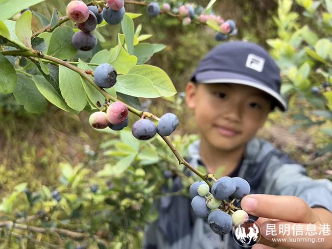 微信圖片_20220630200135 微信圖片_20220630200135