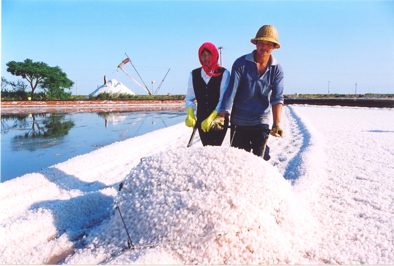 “敢叫海水變鹽山”的淮鹽精神流傳至今。李永和攝