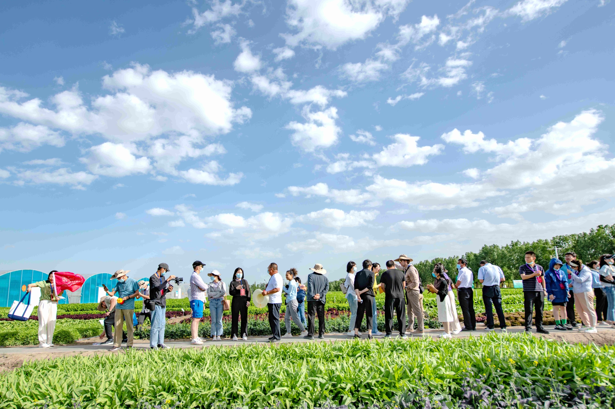 DSC_8402.jpg DSC_8402.jpg