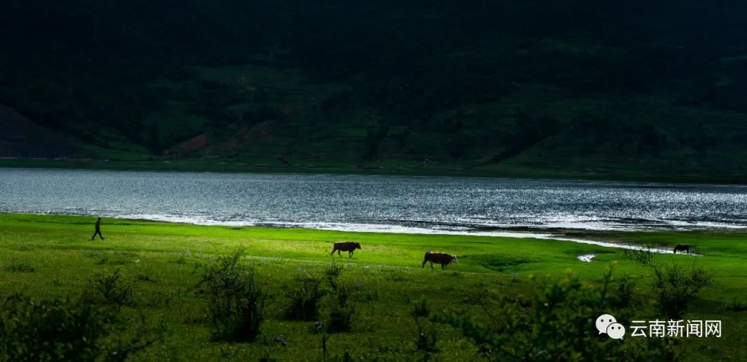 夏日文海之畔 夏日文海之畔