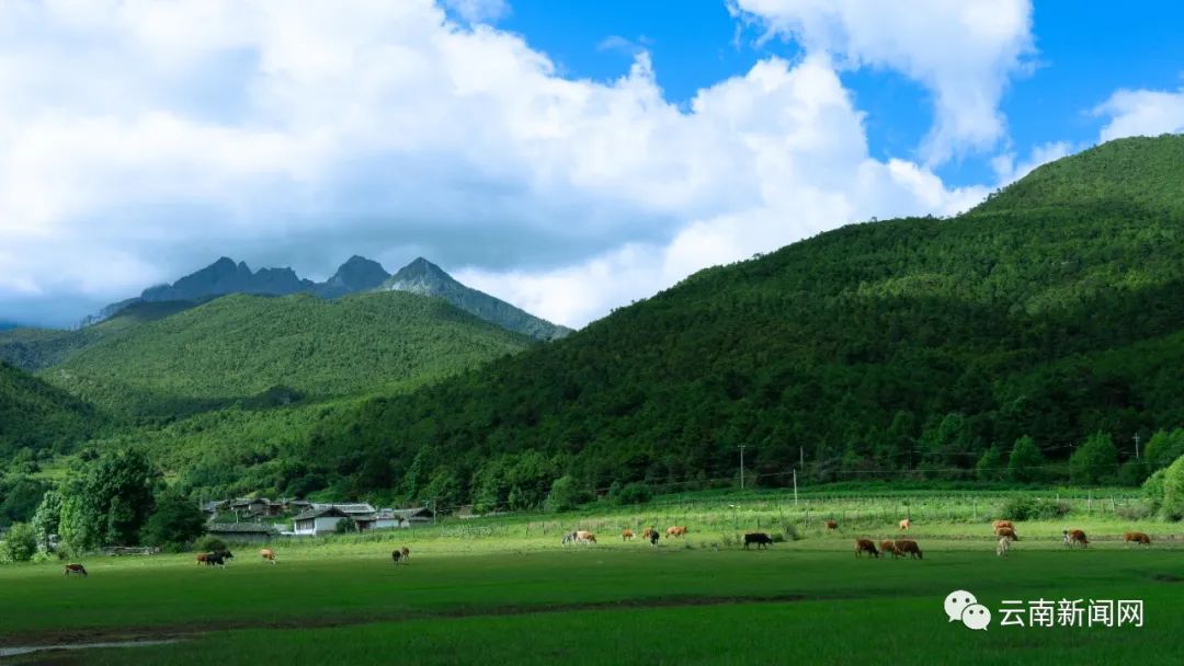夏日文海之畔1 夏日文海之畔1