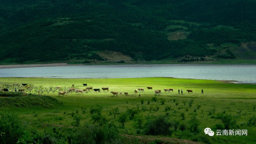夏日文海之畔3 夏日文海之畔3