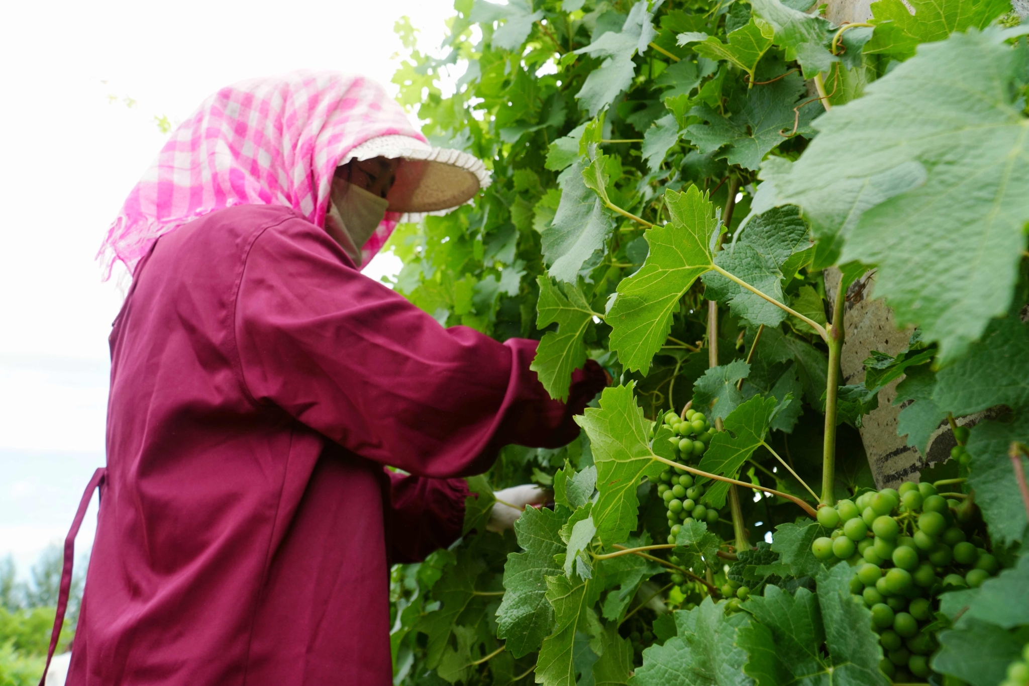 DSC04986.JPG DSC04986.JPG