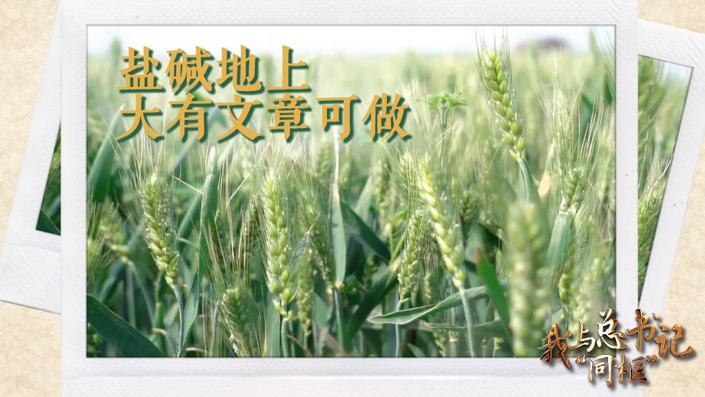 1128806330_16570262894851n 1128806330_16570262894851n