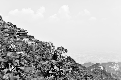 客到齊魯似還鄉(xiāng)——山東文旅產(chǎn)業(yè)煥發(fā)新活力 客到齊魯似還鄉(xiāng)——山東文旅產(chǎn)業(yè)煥發(fā)新活力