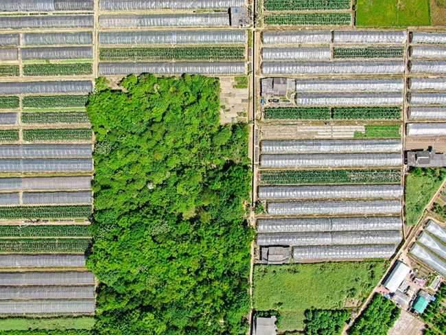 微信圖片_20220707114458