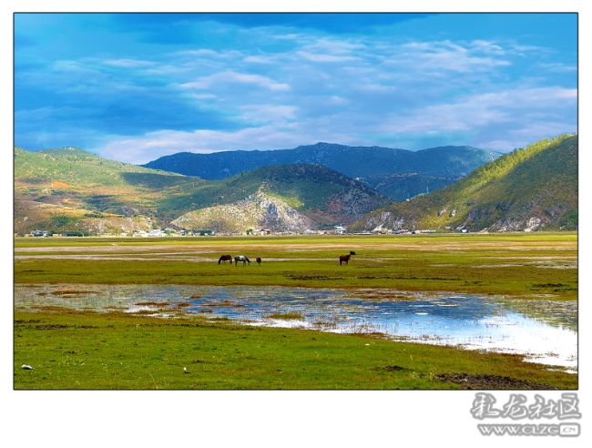 niy3jquan2 niy3jquan2