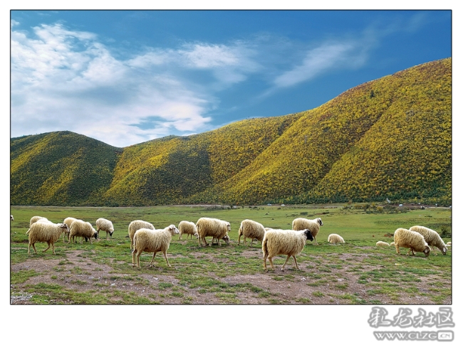 rkw6z34awu rkw6z34awu