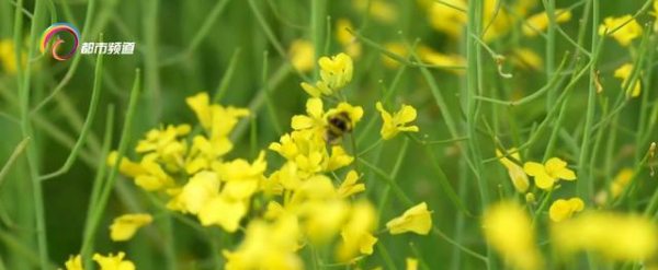 微信圖片_20220714104509