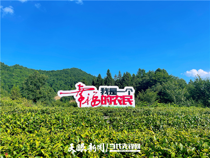 1657878626492095.jpg W020220715504885865712.jpg