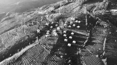 QQ截圖20220718093230 QQ截圖20220718093230