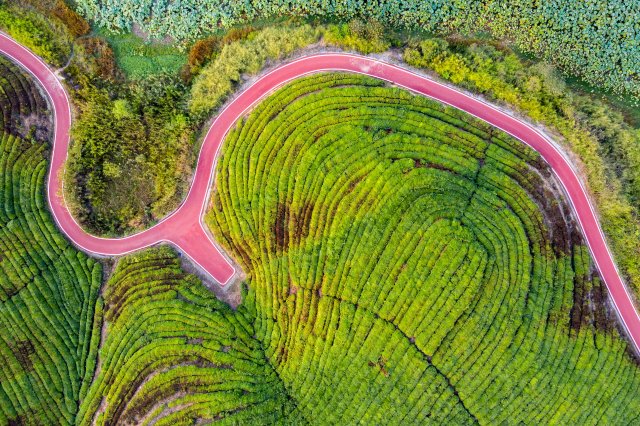 羊樓洞古鎮(zhèn)（供圖）