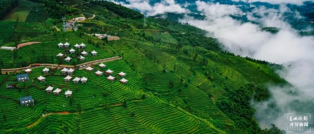 普洱思茅：云端秘境，與茶山居！
