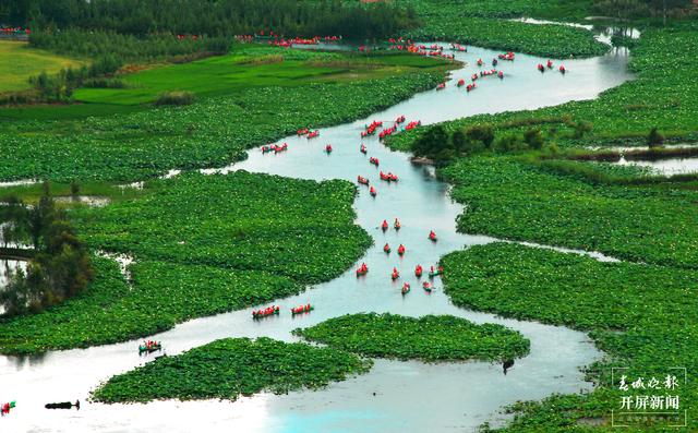 一朵蓮花開(kāi)兩色