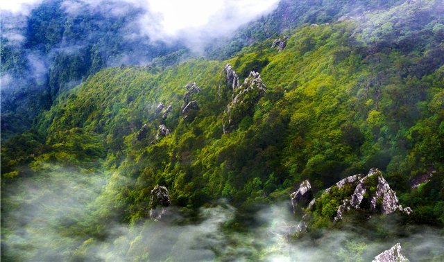 （蒼山 楊繼培 攝影）.jpg