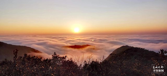 昭通這個(gè)村滿山木耳花開(kāi)美如畫(huà)，還有云海霞光來(lái)“湊熱鬧”（開(kāi)屏新聞?dòng)浾?申時(shí)勛 通訊員 程清龍 馬霞 攝影報(bào)道）