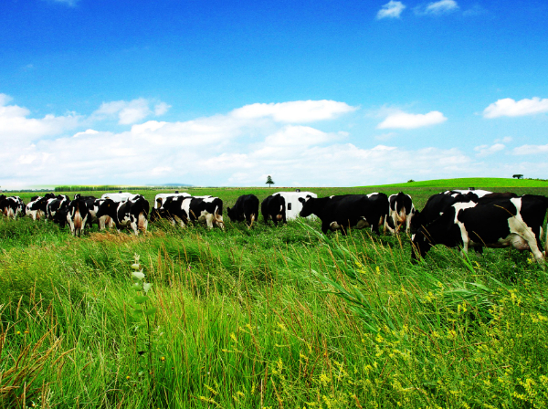 2022071372ee498d45344659bb95dca09e1bffdc_202207136be75c04299348e49aeb1607a3dbb82b