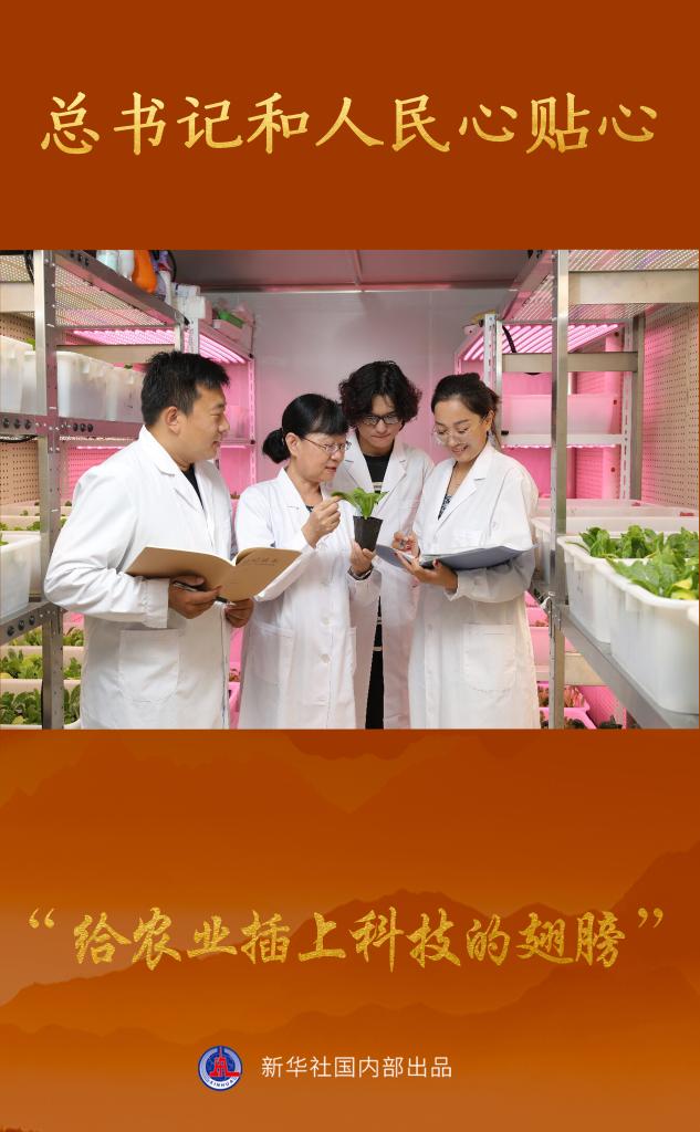 1128848161_16583149459431n