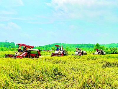 江西：續(xù)寫紅土圣地新榮光