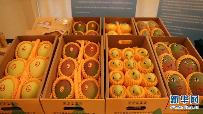 1310645898_16587483599521n13 1310645898_16587483599521n13